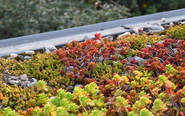the cost of Double Hill green roof installation